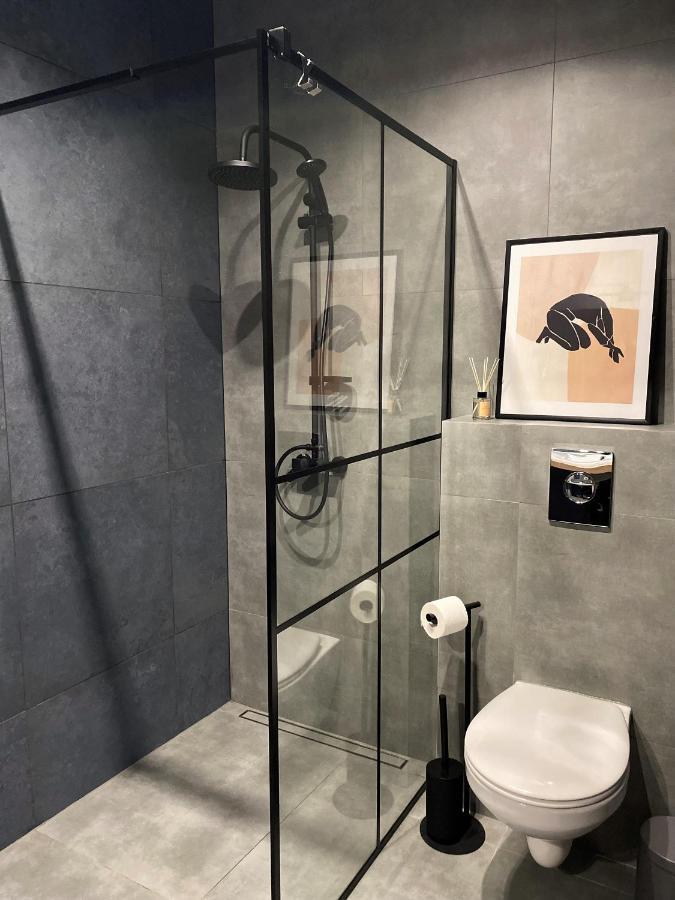 Apartament City Spa - Sokolska 30 Towers Κατοβίτσε Εξωτερικό φωτογραφία