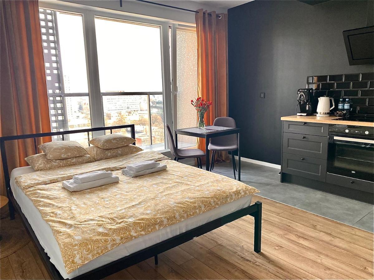 Apartament City Spa - Sokolska 30 Towers Κατοβίτσε Εξωτερικό φωτογραφία
